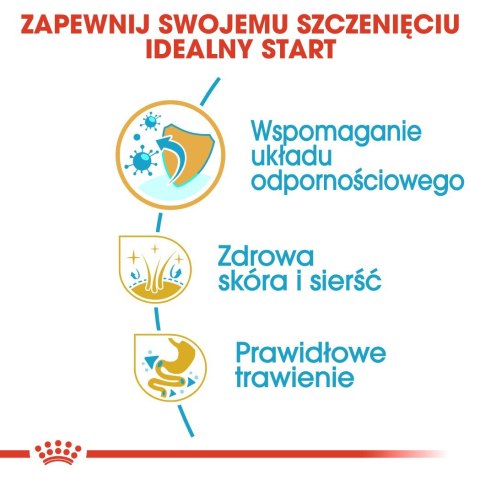 ROYAL CANIN BHN Golden Retriever Puppy - sucha karma dla szczeniąt - 3kg