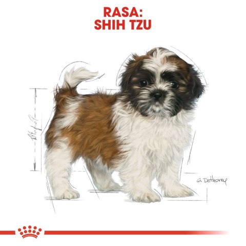 ROYAL CANIN BHN Shih Tzu Puppy - sucha karma dla szczeniąt - 0,5kg