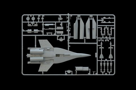 Mig 29UB Fulcrum Italeri