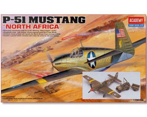 P-51 Mustang North Africa Academy