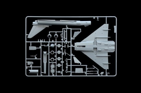 EF-2000 Typhoon single seater Italeri