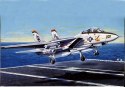 F-14 A Tomcat Italeri