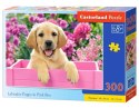 Puzzle 300 elementów Labrador w pudełku Castor
