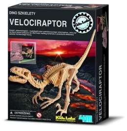 Wykopaliska Velociraptor 4m