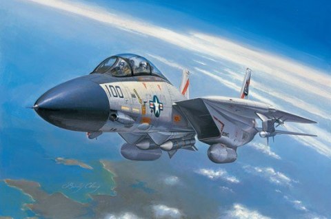 F-14A Tomcat Hobby Boss