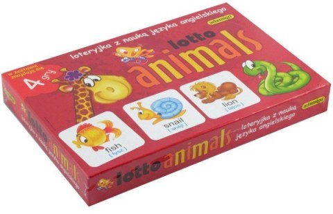 GRA LOTTO Adamigo