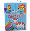 Koloruję i Naklejam Zwierzaki 2 Promatek