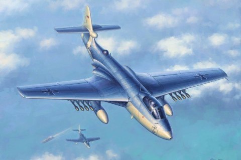 HOBBY BOSS Seahawk MK.10 0/101 Hobby Boss