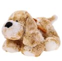 Pies Roddy 25 cm Beppe