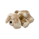 Pies Roddy 25 cm Beppe