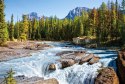 Puzzle 1500 elementów Athabasca River, Jasper National Park, Canada Castor