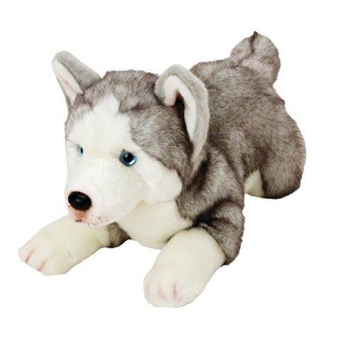 SUKI Piesek Husky 35cm Suki