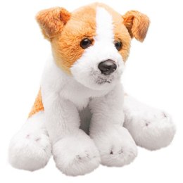 Siedzący Jack Russell Terier 13cm Suki