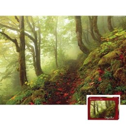 1000 EL. Magic Forests, Path Heye