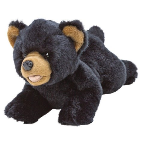 Czarny Miś 35cm Suki