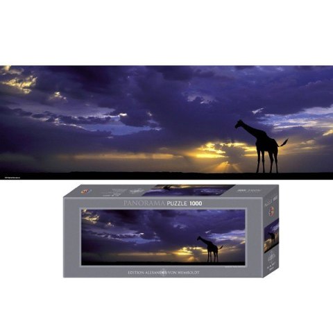 HEYE 1000 EL. Sunsetp Heye