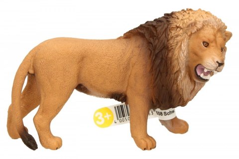 Lew ryczący Schleich