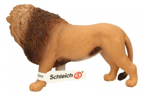 Lew ryczący Schleich