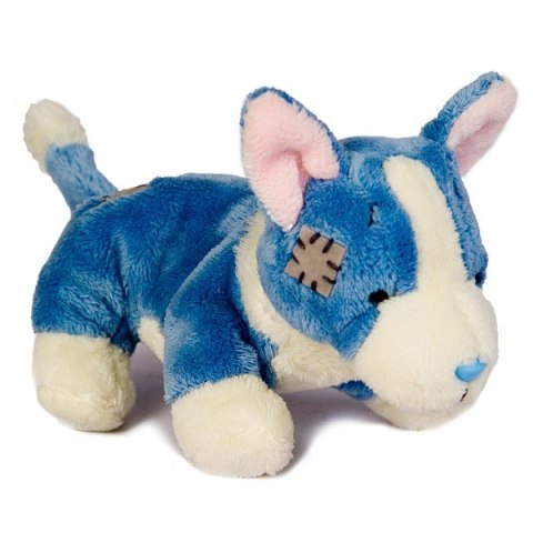 Niebieski Nosek Pies Corgi Carte Blanche