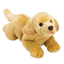 SUKI Piesek Żółty Labrad or 35cm Suki