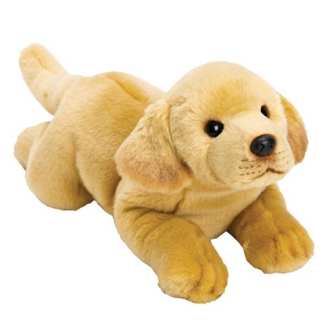 SUKI Piesek Żółty Labrad or 35cm Suki