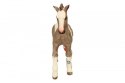 Tinker źrebię Schleich
