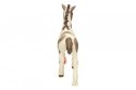 Tinker źrebię Schleich