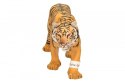 Tygrys Schleich