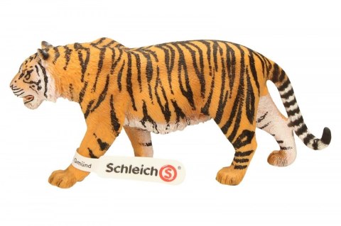 Tygrys Schleich
