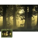 1000 EL. Deer Heye
