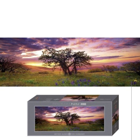 2000 EL. Oak Treep Heye