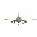 Airbus A-320 Zvezda