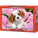 Puzzle 500 elementów Pies w różowych kwiatach Castor