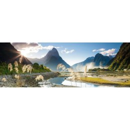 1000 EL. Milford Sound, E. Humboldt Heye