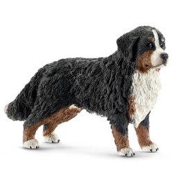 Berneńczyk, suczka Schleich