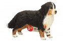Berneńczyk, suczka Schleich