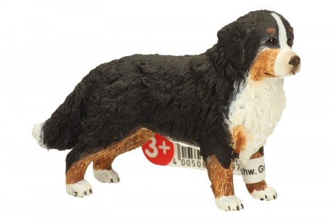 Berneńczyk, suczka Schleich