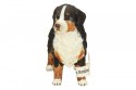Berneńczyk, suczka Schleich