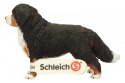 Berneńczyk, suczka Schleich