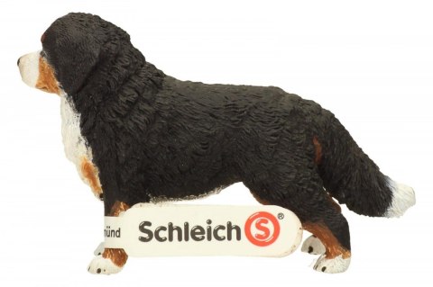 Berneńczyk, suczka Schleich
