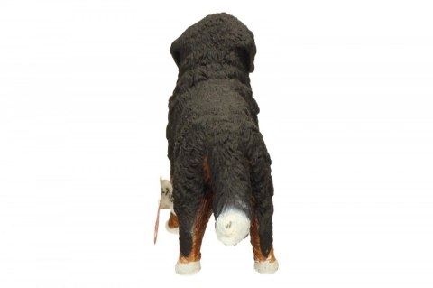Berneńczyk, suczka Schleich