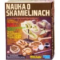 Nauka o Skamielinach 4m