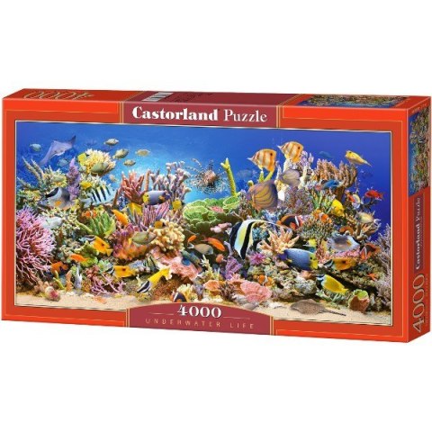 Puzzle 4000 elementów Podwodne Życie Castor