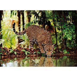 2000 EL. Leopard Clementoni