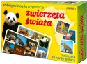 Gra Zwierzęta Świata Adamigo