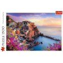 Puzzle 1500 elementĂłw Widok na miasteczko Manarola Trefl