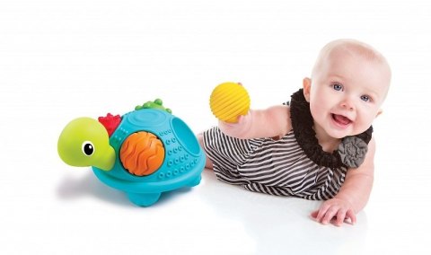 Sensoryczny żółw z piłeczkami B-kids