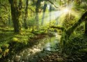 1000 ELEMENTÓW Magiczny las, duch lasu Heye