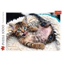 Puzzle 1000 elementĂłw WesoĹy kotek Trefl