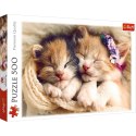 Puzzle 500 elementĂłw ĹpiÄce kotki Trefl